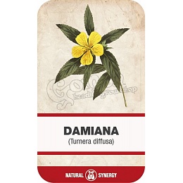 Damiana (Turnera diffusa)