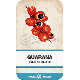 Guarana (Paullinia cupana) porítva
