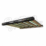 Dimlux Xtreme Series MKII LED 550W 3.4