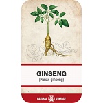 Ginseng (Panax ginseng) powder