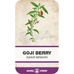Goji berry (Licium barbarum) 4
