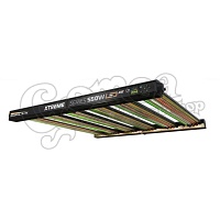 Dimlux Xtreme Series MKII LED 550W 3.4