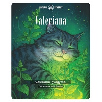 Macskagyökér (Valeriana officinalis)
