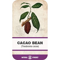 Cocoa bean (Theobroma cacao)