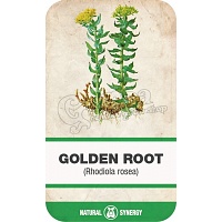 Golden Root (Rhodiola rosea)
