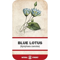 Blue Lotus (Nymphaea caerula) petals