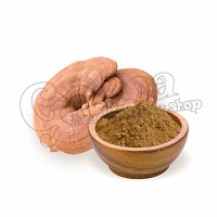 Ganoderma (Reishi) powder