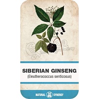 Siberian ginseng (Eleutherococcus senticosus)