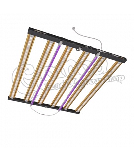 Dimlux Xplore Series NIR ADD-ON LED 2x25W