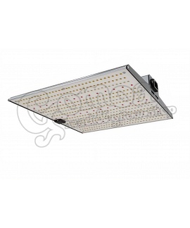Urban Garden Polaris LED full spectrum 460nm 120W 2.9