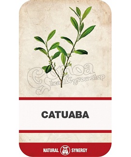 Catuaba (Trichilia catigua) por
