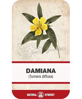 Damiana (Turnera diffusa)