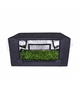 GHP Propagator Box M