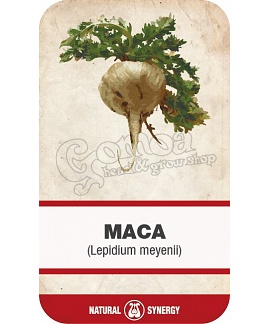 Maca root (Lepidium meyenii) powdered