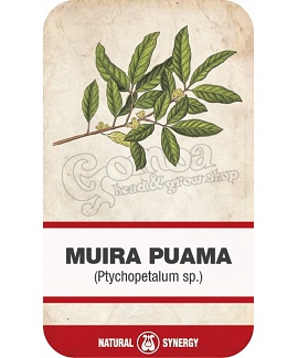 Muira puama (Ptychopetalum olacoides) fakéreg aprított