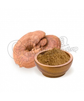 Ganoderma (Reishi) powder