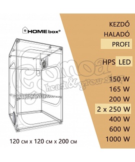 Professional LED Grow Box set 2x250W / 120x120x200