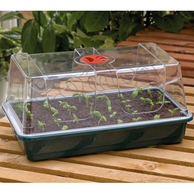 Garland Propagator high dome (with airway) 2