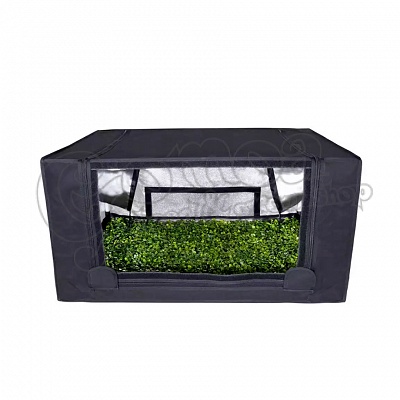 GHP Propagator Box M