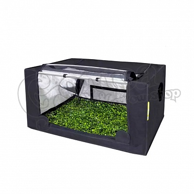 GHP Propagator Box M 4