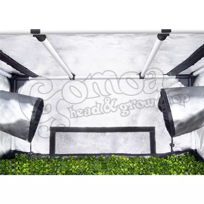 GHP Propagator Box M 5