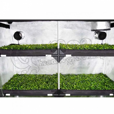 Garden Highpro Propagator Grow Box XL 12