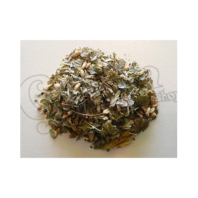 Dream Herb (Calea zacatechichi) herba 2