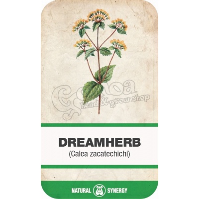 Dream Herb (Calea zacatechichi) herba
