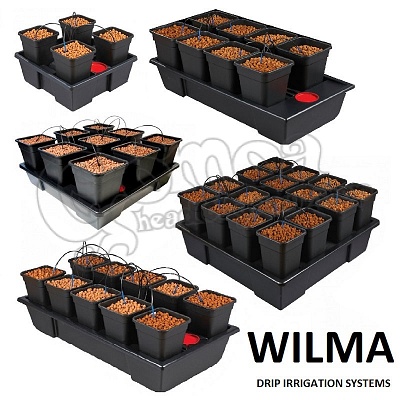 Wilma Drip Irrigation System