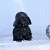 Darth Vader grinder (3 parts)