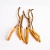 Kínai hernyógomba (Cordyceps) por